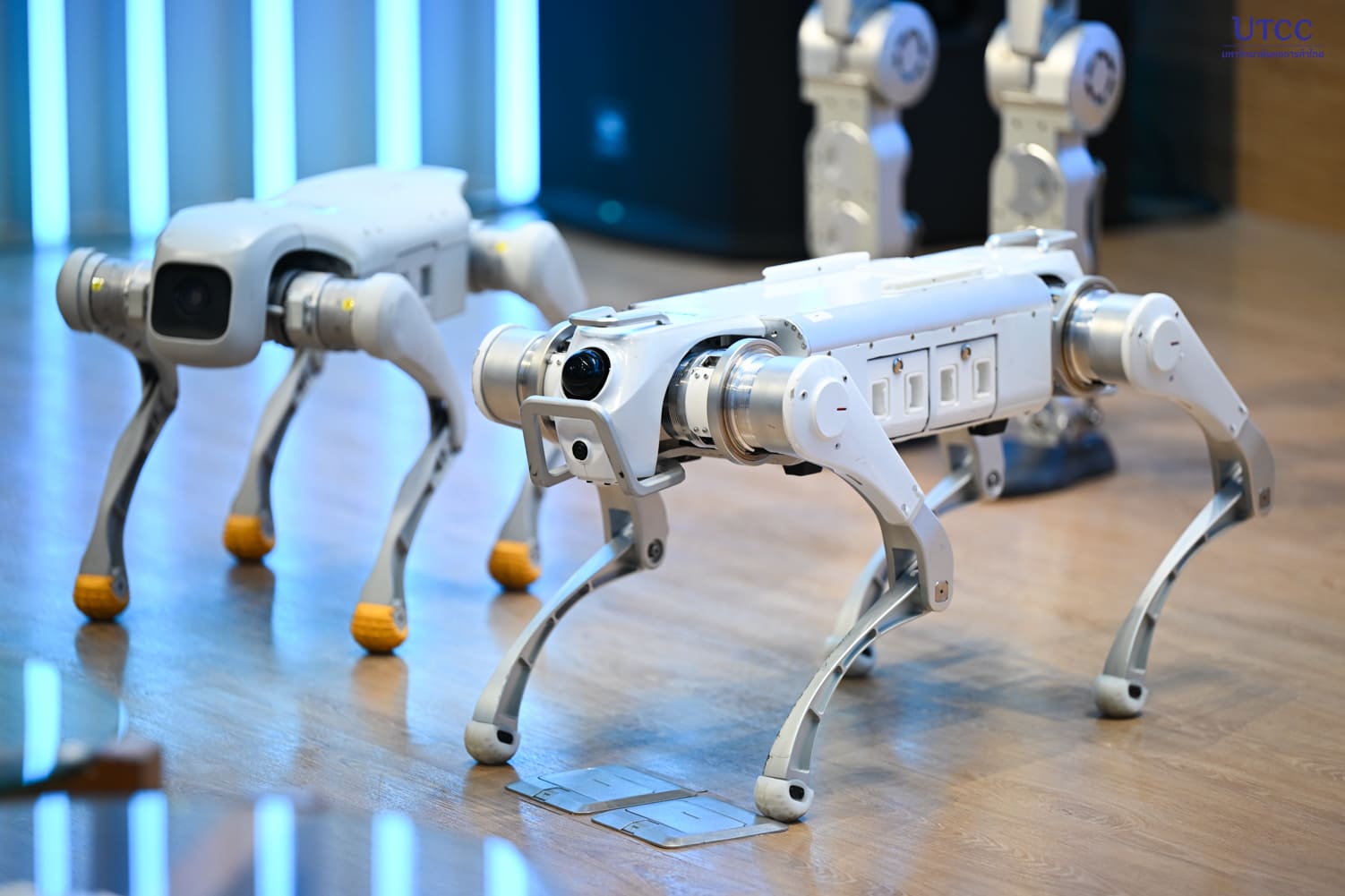 ความร่วมมือด้านเทคโนโลยีในระดับภูมิภาค ผนึกกำลังเครือข่าย Humanoid 11 หน่วยงานพันธมิตรเครือข่าย ร่วมกันพัฒนา ขับเคลื่อน และสร้างสรรค์นวัตกรรมด้านหุ่นยนต์ฮิวแมนนอยด์และปัญญาประดิษฐ์