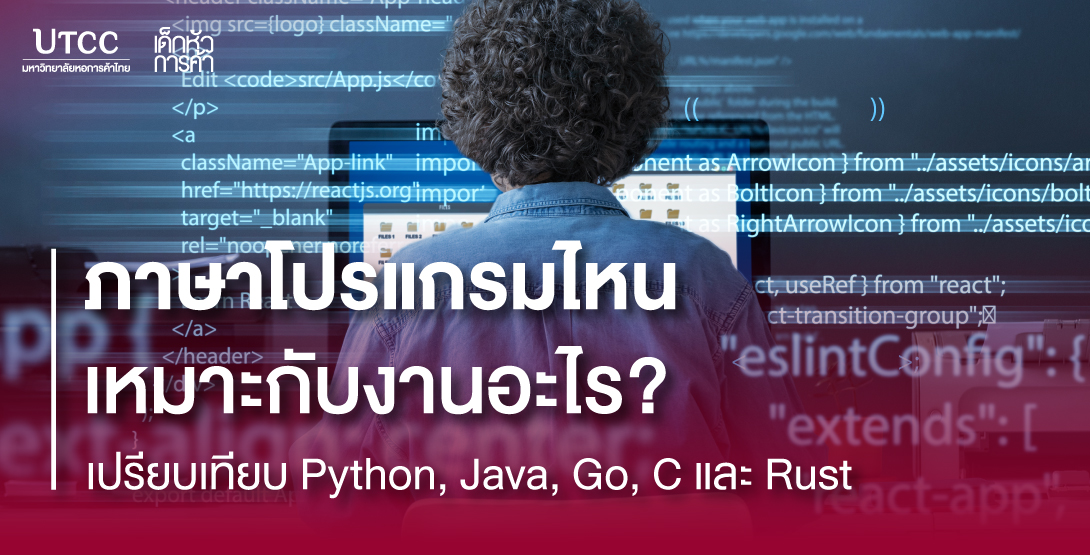 ภาษาโปรแกรมไหนเหมาะกับงานอะไร เปรียบเทียบ Python, Java, Go, C และ Rust