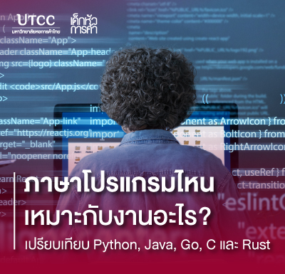 ภาษาโปรแกรมไหนเหมาะกับงานอะไร เปรียบเทียบ Python, Java, Go, C และ Rust